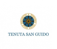 Tenuta San Guido